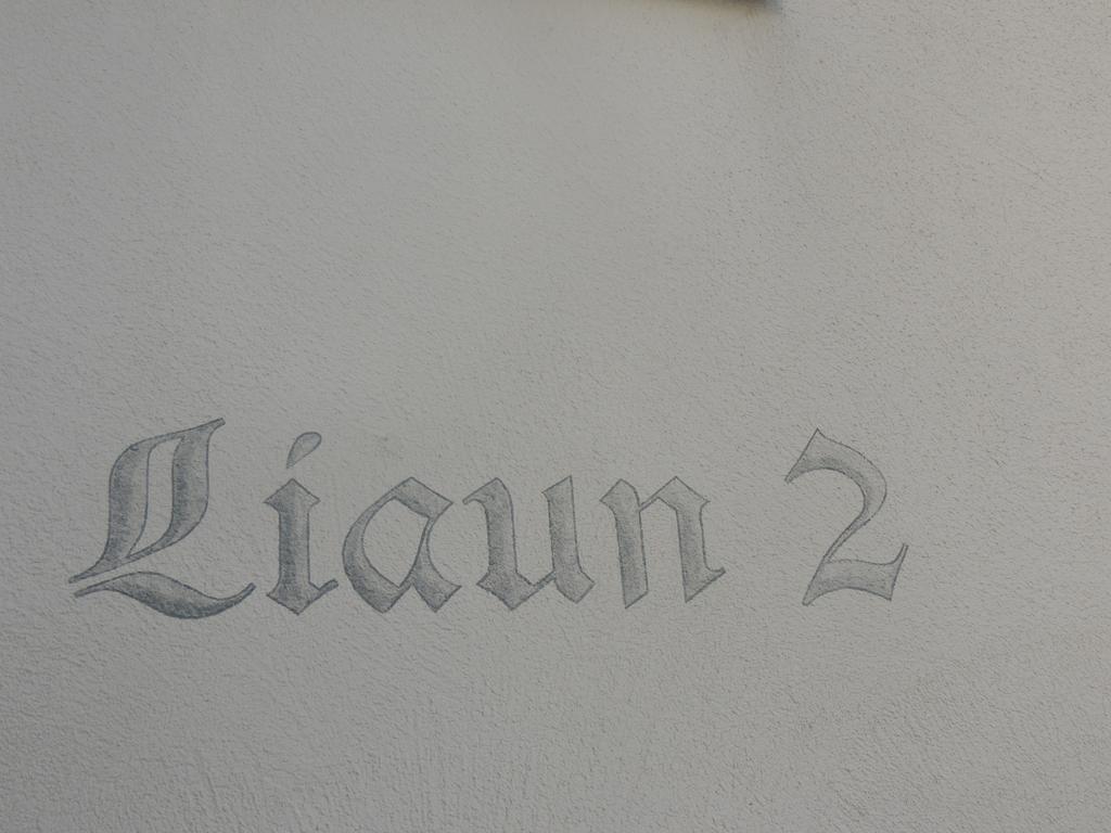 Brienz Haus Liaun 2公寓 客房 照片